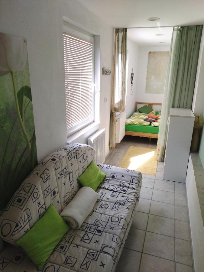 Apartma Peter1A Begunje na Gorenjskem Exterior photo